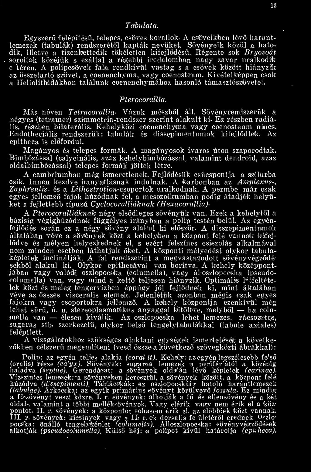 A polipcsövek fala rendkívül vastag s a csövek között hiányzik az összetartó szövet, a coenenohyima, vagy coenosteum.
