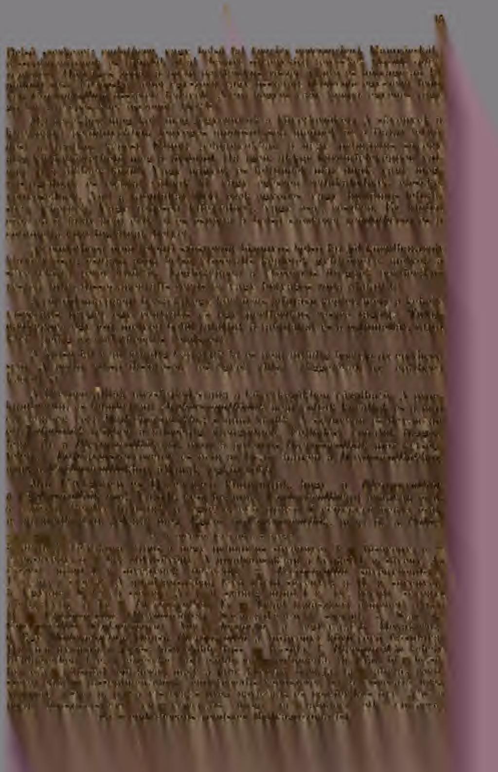 Alap: hegyes vagy tompa, egyenes vagy görbült, telepeseknél összentt (bázis).