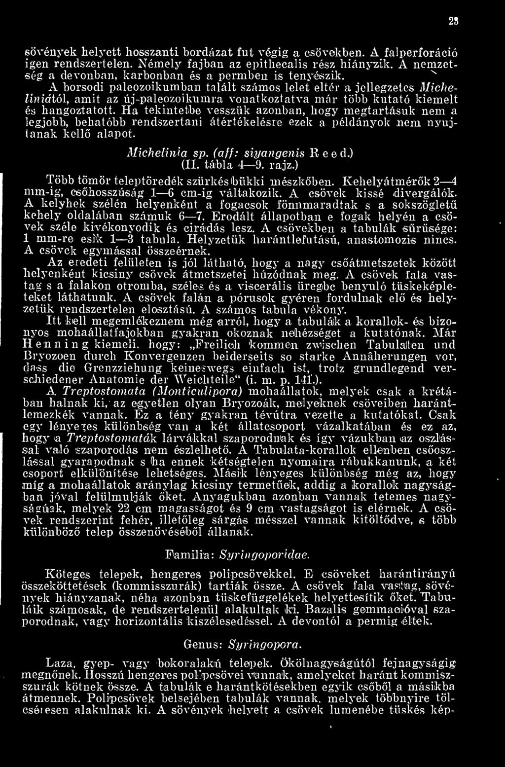 A borsodi paleozoikumban talált számos lelet eltér a jellegzetes Micheliniá tói, amit az új-paleozoikumra vonatkoztatva már több kutató kiemelt és hangoztatott.