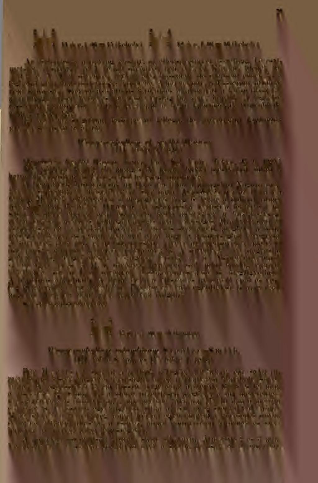 27 2 2 4 11 + e.i.oo = 15 (kehely) 3 4 3 12 + e.f.00 = 16 (kehely) Az oszlopoeska aránylag kicsiny, az ellensövénnyel összefügg, keresztmetszete orsóalakú az I. rend sövények nem érik el.