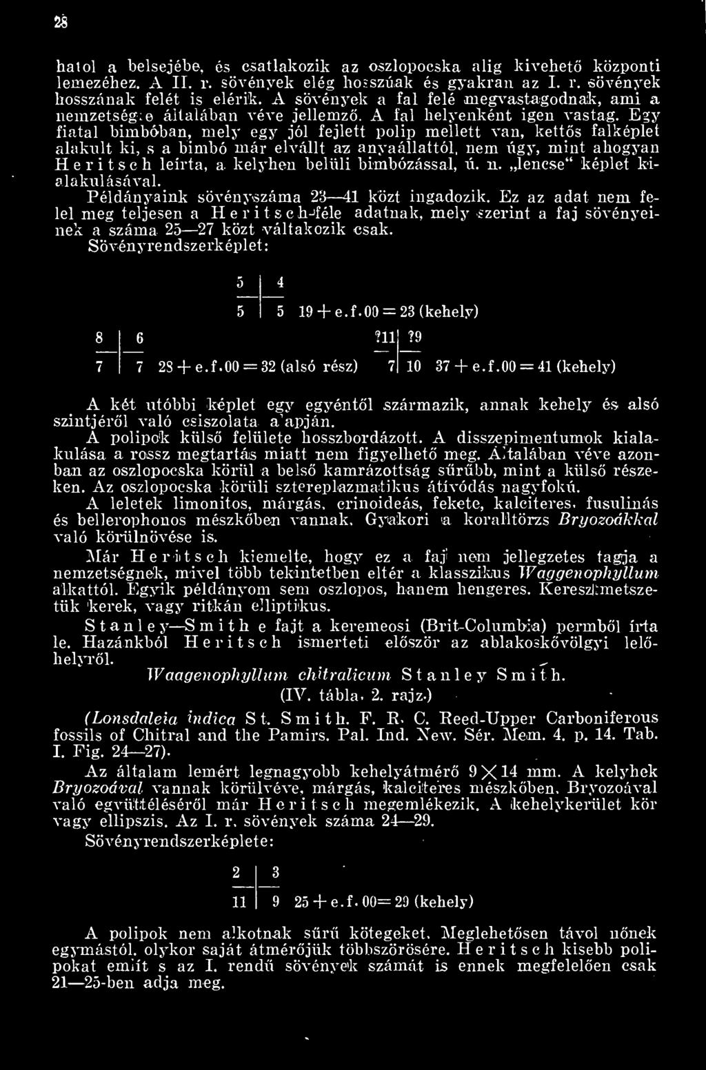 Egy fiatal bimbóban, mely egy jól fejlett polip mellett van, ketts falképlet alakult ki, s a bimbó már elvállt az anyaállattól, nem ixgy, mint ahogyan Heritsch leírta, a kelyhen belüli bimbózással, ú.
