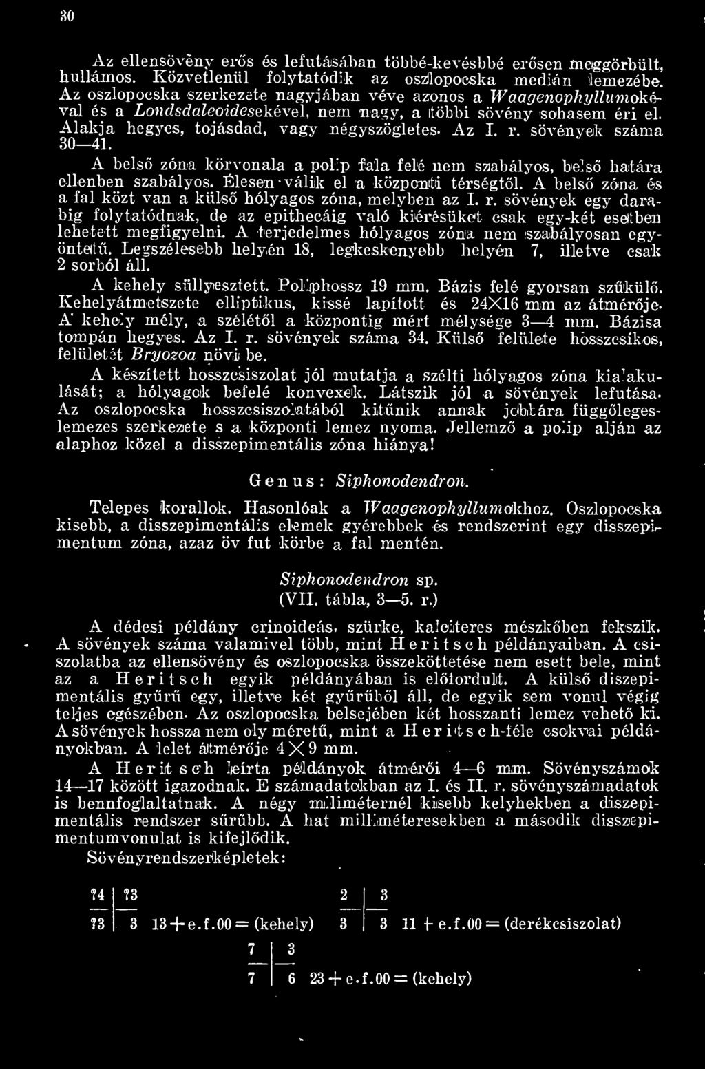 sövények száma 30 41. A bels zóna körvonala a polip fala felé nem szabályos, bels haltára ellenben szabályos. Élesen -válik el a központi térségtl.