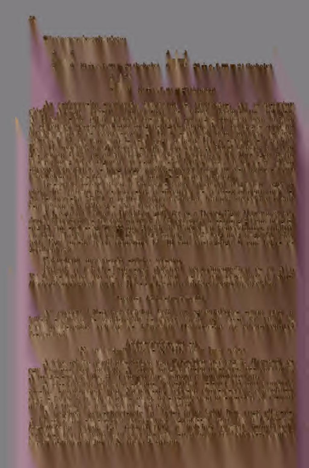 j 6 38 Sövényrendszerképlete: 4 3 3 6 16 + e. f. 00 = 20 (kehely) 4 4 6 6? 20 + e.f.00 = 21 (kehely) 3 8 i 2? 19 + e.f.00 = 23 (bimbó) Az cszlopoeska szerkezete bonyolult és változatos.