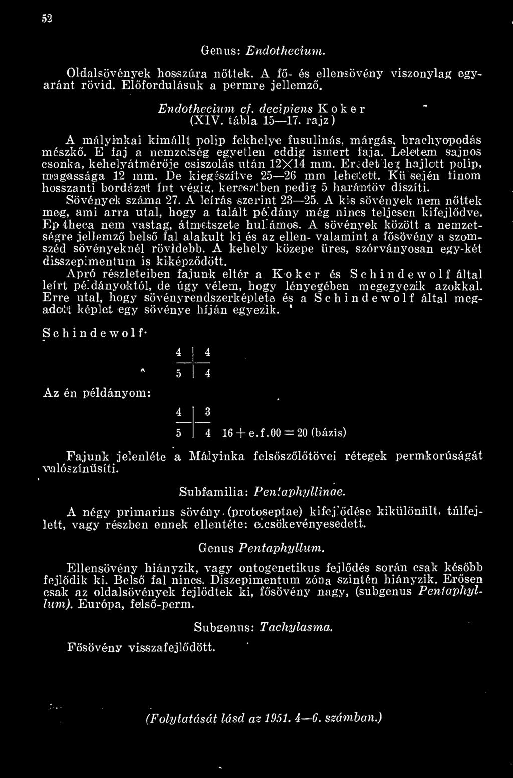 hajlott polip, magassága 12 mm. De kiegészítve 25 26 mm lehetett. Kli séjén linóm hosszanti bordázat fut végig, keresztben pedig 5 harántöv díszíti. Sövények száma 27. A leírás szerint 23 25.