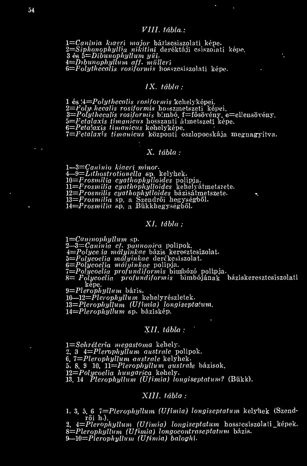 4 9=Lithostrotionetta sp. kelyhek. 10=F rosmilia cyathophylloides polipja. 11=F rosmilia cyathophylloides kehelyátmetszete. 12 Prosmiilis cyathophylloides bázisátmetszete. 13 P rosmilia sp.