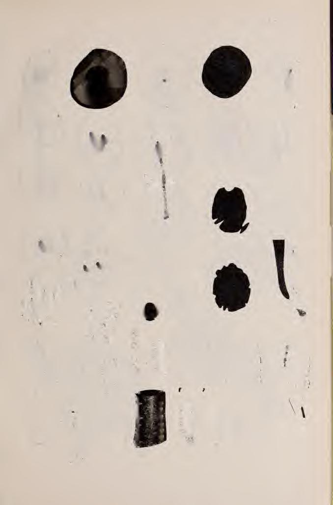 I. TÁBLA