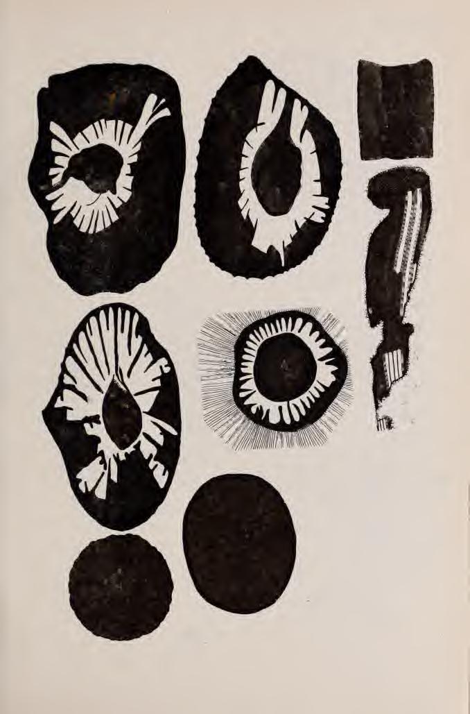 III.