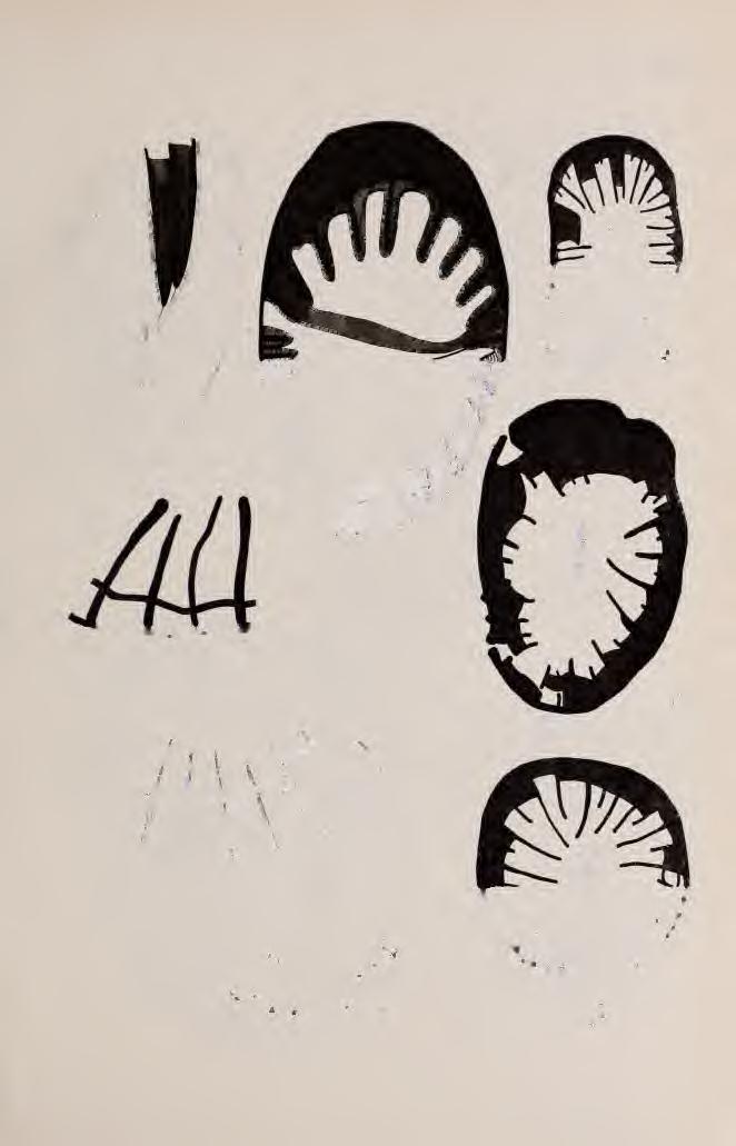 VII.