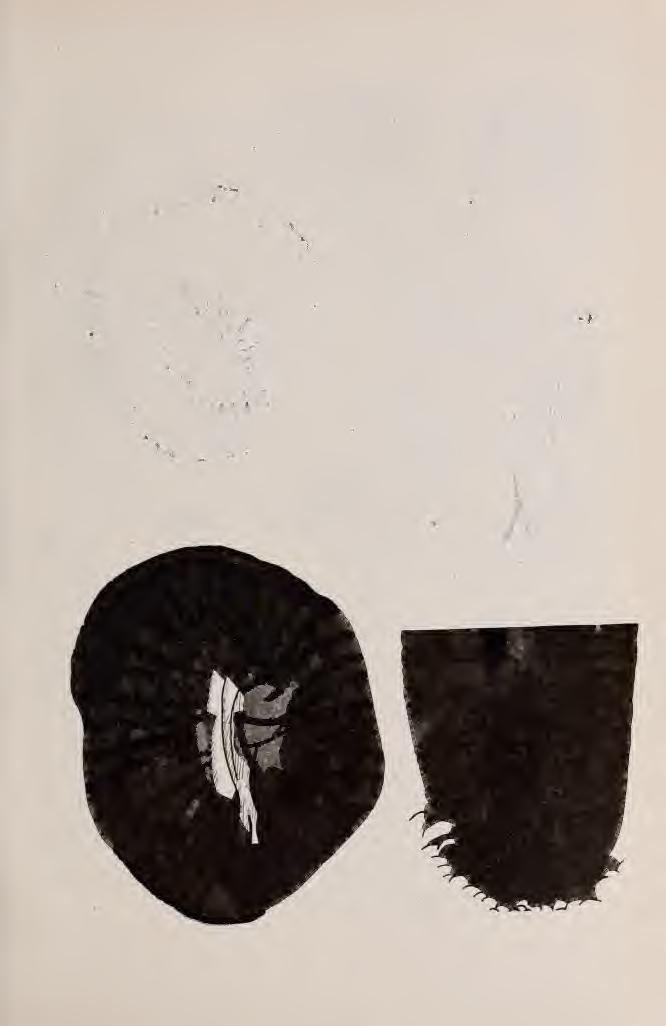 6 VIII.