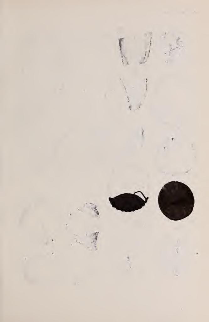 XII.