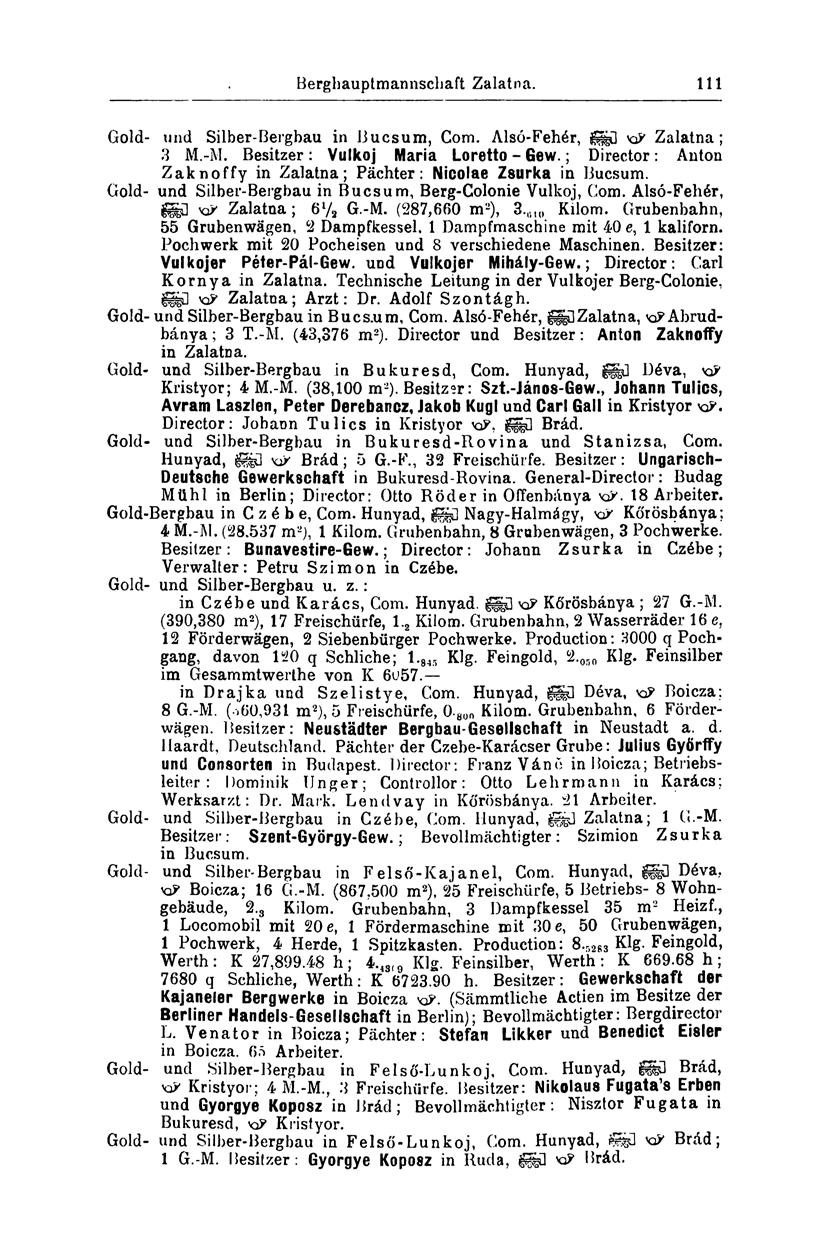 Berghauptmannschaft Zalatna. 111 Gold- und Silber-Bergbau in Bucsum, Com. Alsó-Fehér, g gü KP Zalatna; 3 M.-M. Besitzer: Vulkoj Maria Loretto - Gew.