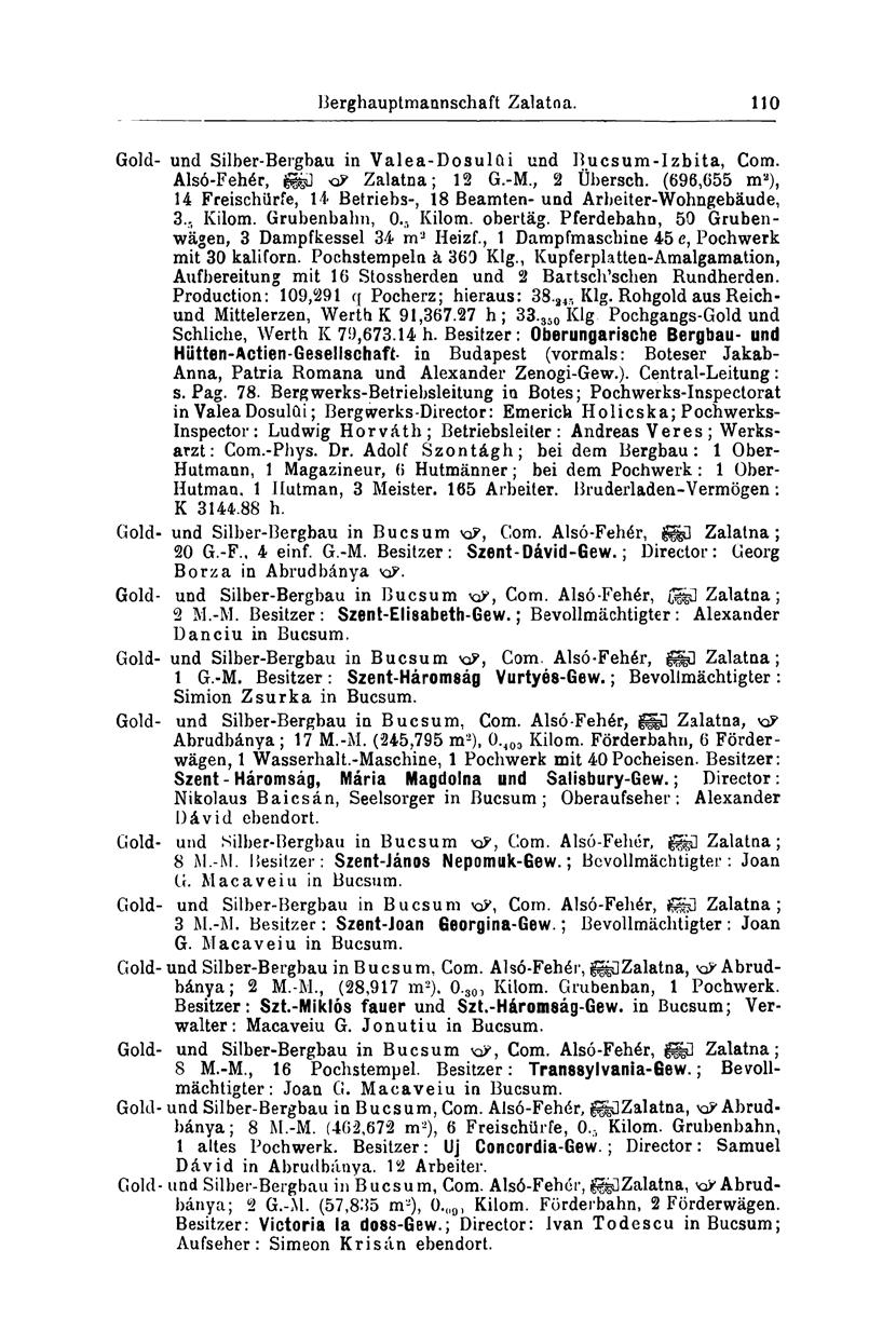 Berghauptmannschaft Zalatna. 110 Gold- und Silber-Bergbau in Valea-Dosulüi und Bucsum-Izbita, Com. Alsó-Fehér, Zalatna; 12 G.-M., 2 Übersch.