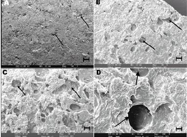 Hamedelniel: Development and characterization of matrix pellets prepared by