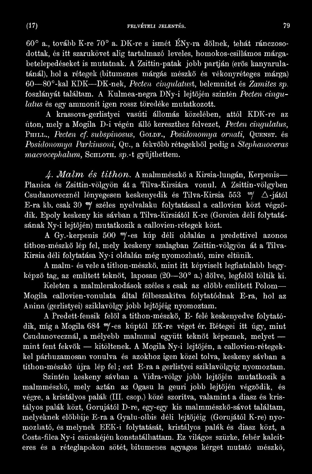 foszlányát találtam. A Kulmea-negra DNy-i lejtőjén szintén Pecten cingulatus és egy ammonit igen rossz töredéke mutatkozott.