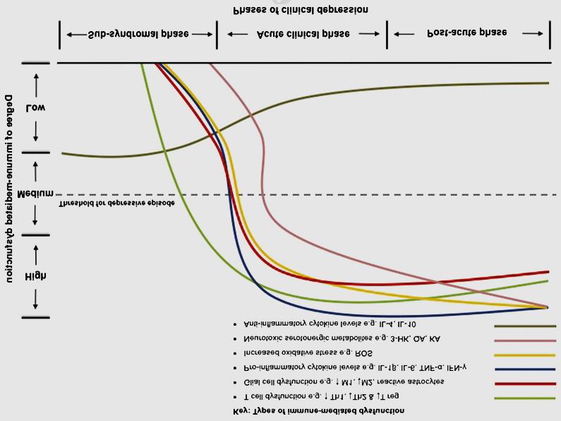 Neuroimmunológiai faktorok és depresszió etiológiája/lefolyása H.A.