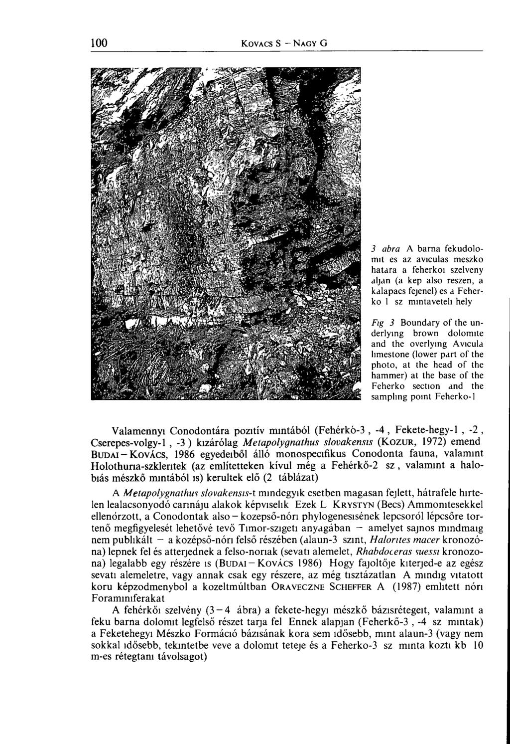 3 abra A barna fekudolomit es az aviculas mészkő hatara a feherkoi szelvény álján (a kép also részén, a kdlapacs fejenel) es a Feherko 1 sz mintavételi hely Fig 3 Boundary of the underlying brown