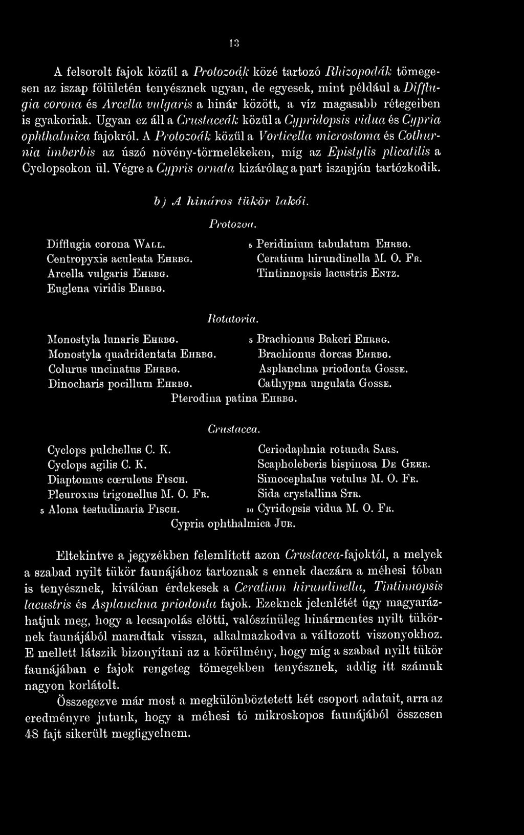 A Protozoák közül a Vorticella microstoma és Cothurnia imberbis az úszó növény-törmelékeken, mig az EpMijlis plicatilis a Cyclopsokon ül. Végre a Cypris ornata kizárólag a part iszapján tartózkodik.