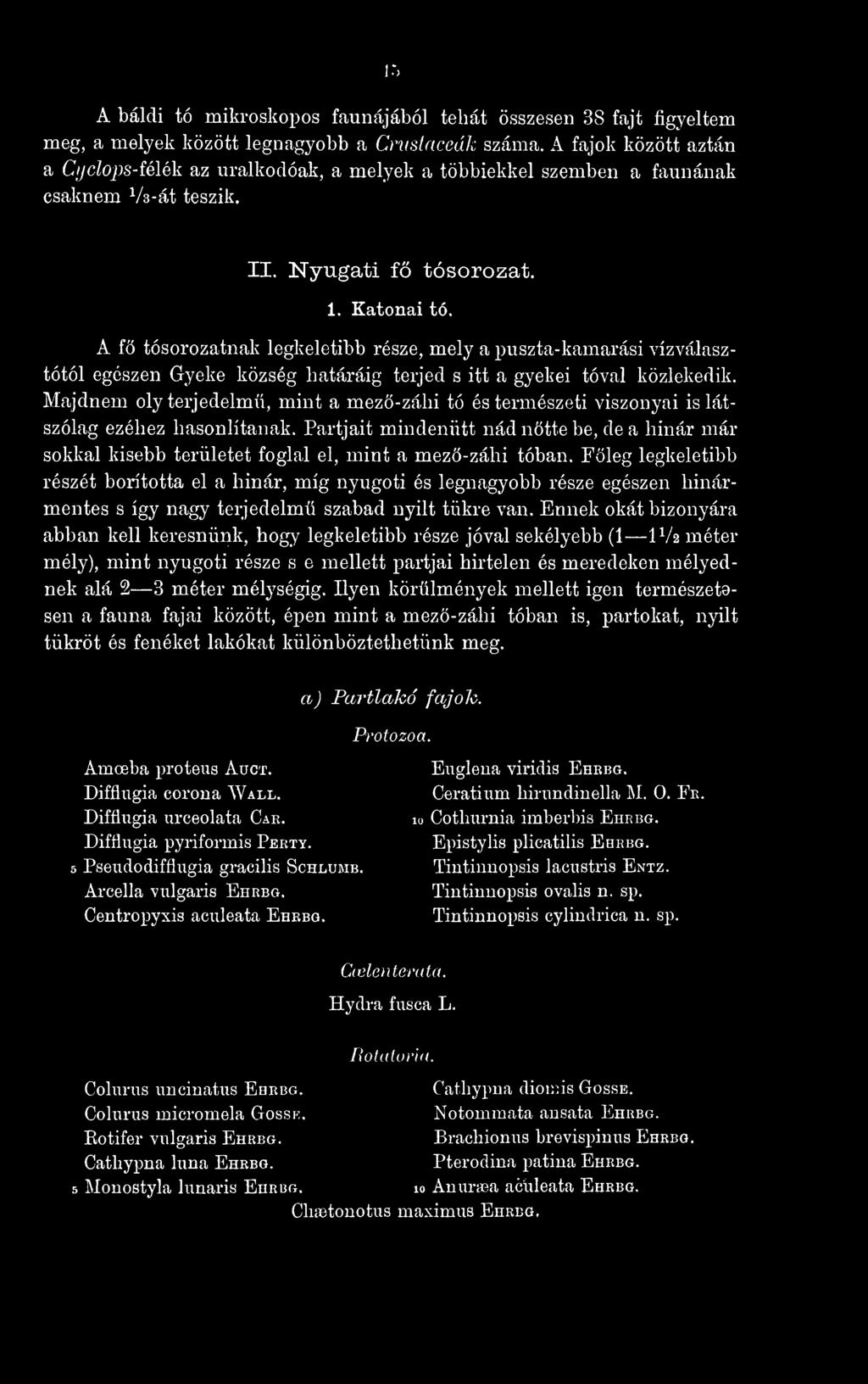 A fö tósorozatnak legkeletibb része, mely a j)uszta-kamarási vízválasztótól egészen Gyeké község határáig terjed s itt a gyekéi tóval közlekedik.