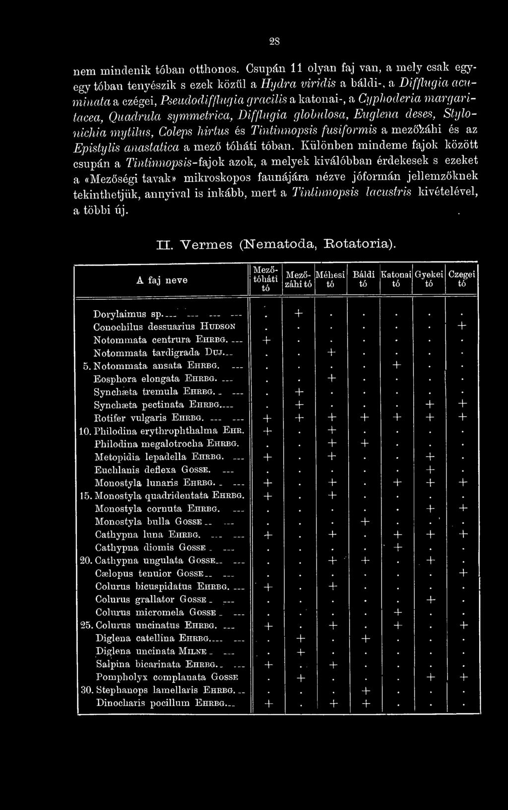 globulosa, Euglena deses, Stylonichia mijtilus, Colejis hirtus és Tintinnopsis fusiformis a mezözáhi és az Episttjlis anastatica a mez tóháti tóban.