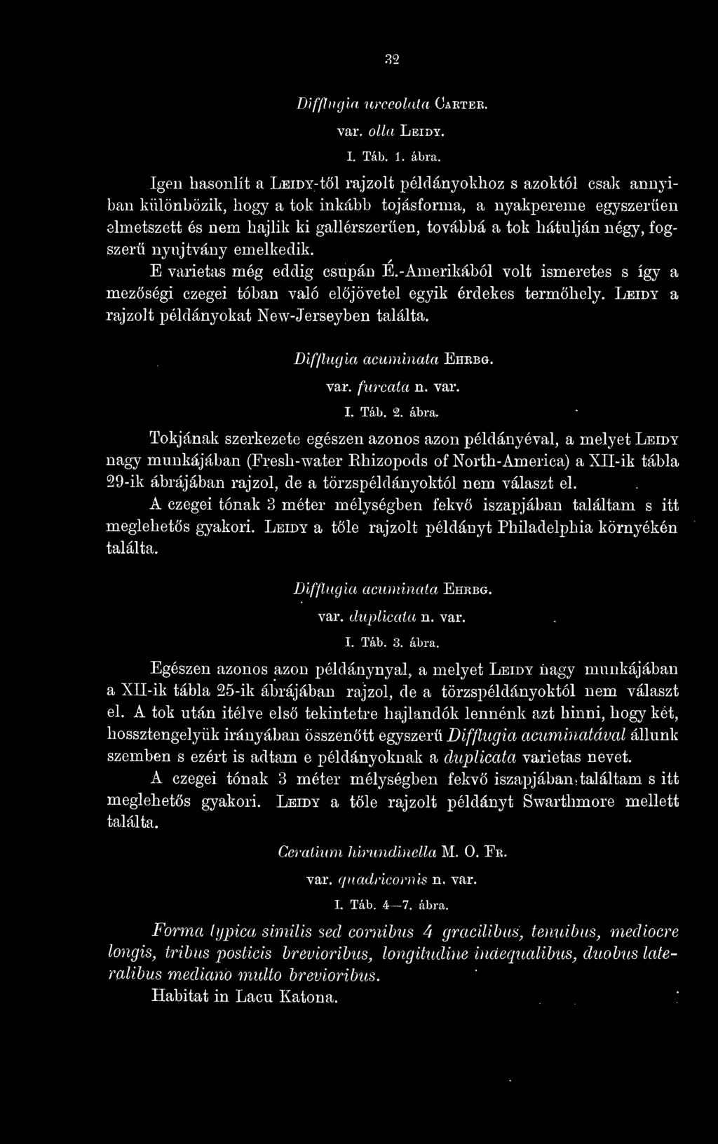 32 Difflugia urceolata Carter. var, olla Leidy. I. Tab. 1. ábra.