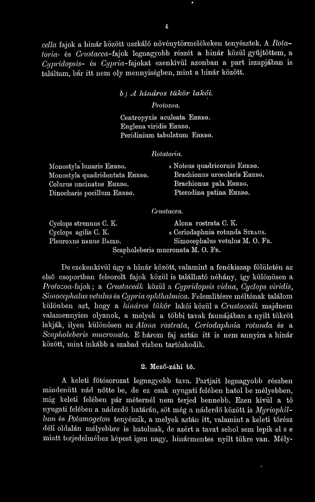 hinár között. b) A hináros tüjcör lakói. Centropyxis aculeata Ehebg. Euglena viridis Ehebg. Peridinium tabulatum Ehebg. Rotatoria. Monostyla limaris Ehebg, s Noteus quadricornis Ehebg.