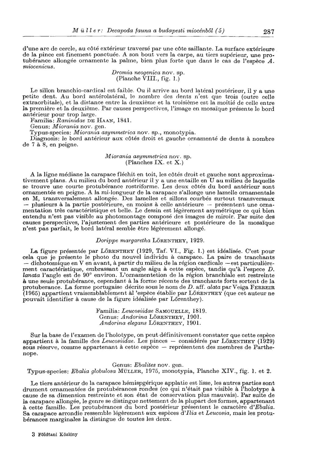 Müller: Decapoda fauna a budapesti miocénből (5) 287 d'une arc de cercle, au côté extérieur traversé par une côte saillante. La surface extérieure de la pince est finement ponctuée.