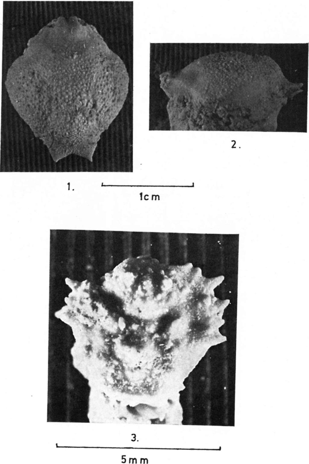 (5) 303 XIV.