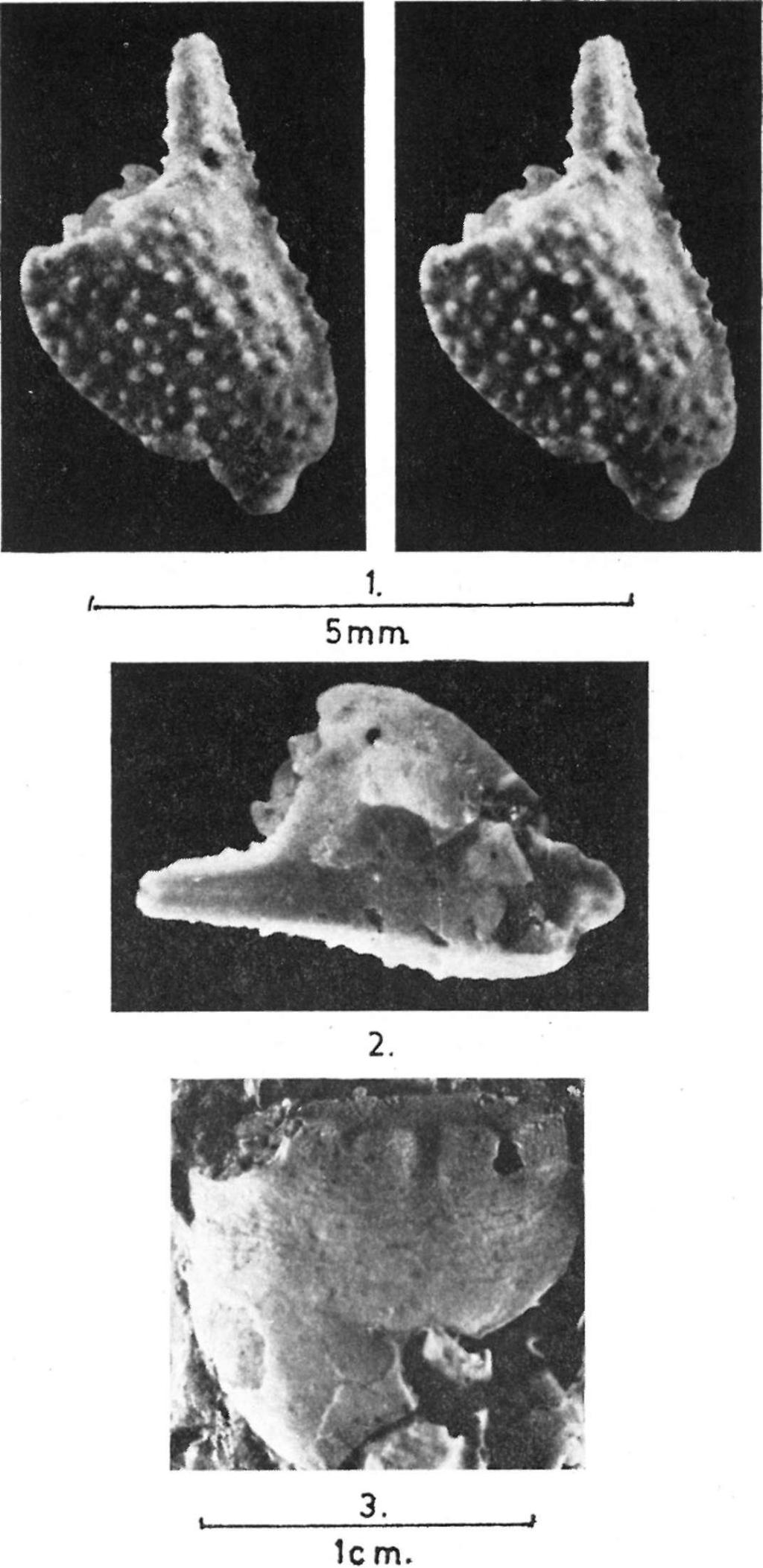 füzet XXIII.