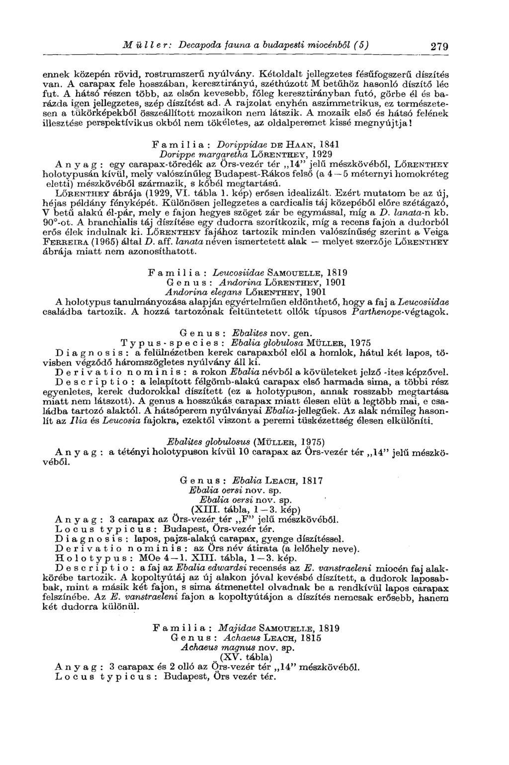 M üli er : Decapoda fauna a budapesti miocénből (5) 279 ennek közepén rövid, rostrurnszerű nyúlvány. Kétoldalt jellegzetes fésűfogszerű díszítés van.