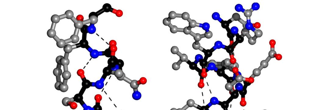 Fehérjék felépítése és struktúrája. Aminosav oldalláncok. A fehérjék  királis elemekből (α-l-aminosavakból) épülnek fel - PDF Free Download