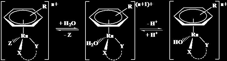 Interaction of organometallic [(η 6 -arene)ru(h 2O) 3] 2+ cations with O-donor small molecules thermodynamic and kinetic parameters, and in this way tailor the pharmacological properties of the