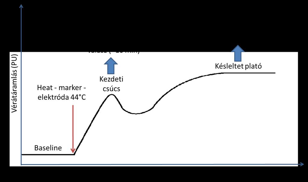 Lézer Doppler vizsgálat III.