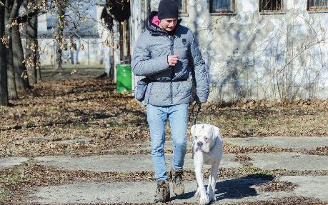 8. oldal 2019. március 7. Rossz kutya, jó kutya Ki tanul többet a kutyaiskolában? Alapengedelmességet tanulnak a kutyák a Tisza-parti Kutyasuliban.