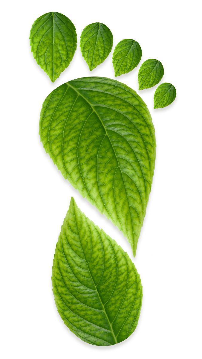 CO 2 kibocsátás csökkentésére irányuló