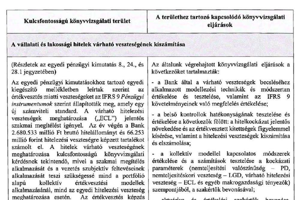 A KÖNYVVIZSGÁLÓ