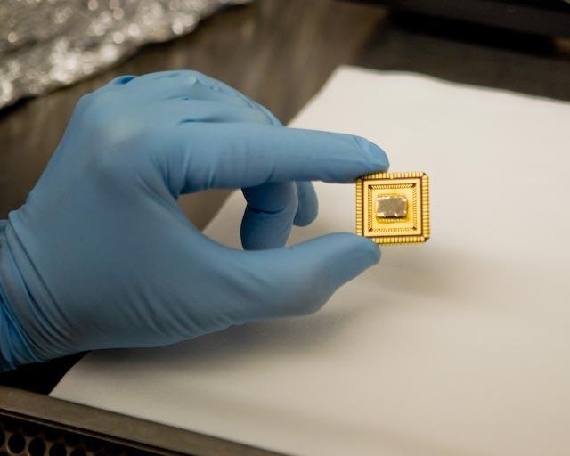 The microneedles can replace conventional injections and deliver drugs through the skin