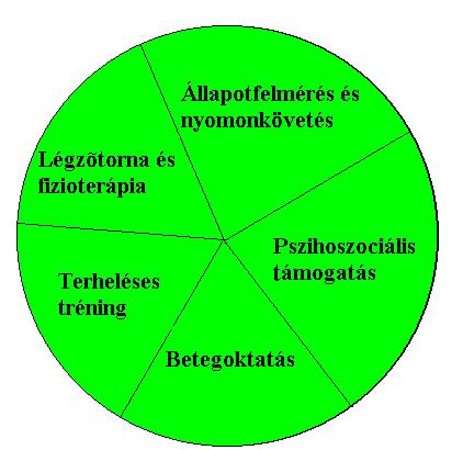 Pulmonológiai rehabilitáció elemei, team Pulmonológus Rehabilitációs szakorvos