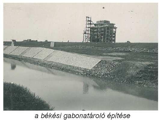 A gyulai Folyammérnöki Hivatal alkalmazásában részt vett a békésszentandrási duzzasztómű és árvízkapu építésében. Építésvezetője volt a békési kikötő létesítményei megvalósításának.