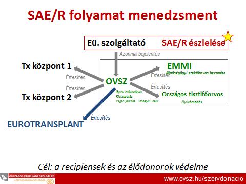 7. Magyar szolgáltató által történő