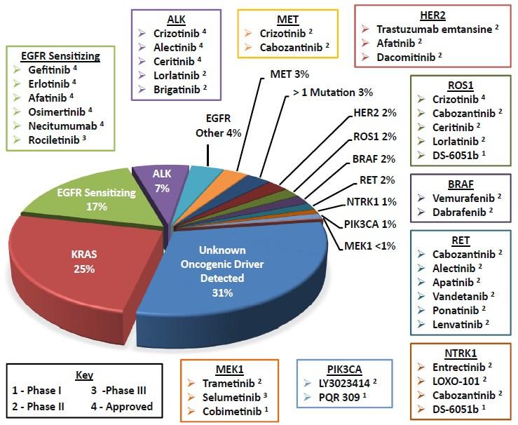 Adenocarcinoma. Heterogenitás.