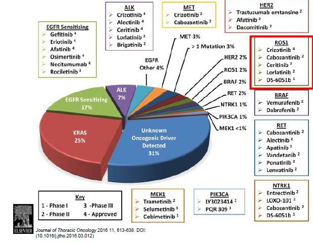 Braf mutáció Gefitinib Erlotinib Afatinib Osimertinib Crizotinib