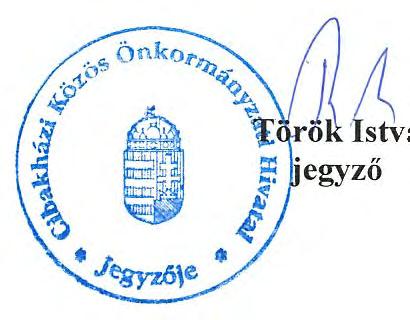 válsághelyzetben l evő várandós anyák gondozása, családjából kiemelt gyermek szüleinek gondozása, jelzőrendszer tagjaival való együttműködés tapasztalatai), - gyermekek napközbeni ellátásának,