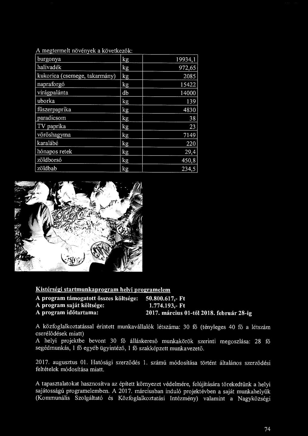 A me F- 0 tennelt növények a következők burnonya kg 19934, 1 0 halivadék kg 972,65 kukorica ( csemege, takarmány) kg 2085 napraforgó kg 15422 virágpalánta db 14000 uborka kg 139 fűszerpaprika kg 4830
