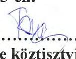 Fekete Géza alpolgármester: A díszkivilágítással kapcsolatban van-e valami ötlet? Hegyes Zoltán polgármester: Van egy felajánlás, a tartalékból tudunk mellé tenni, de az is véges.