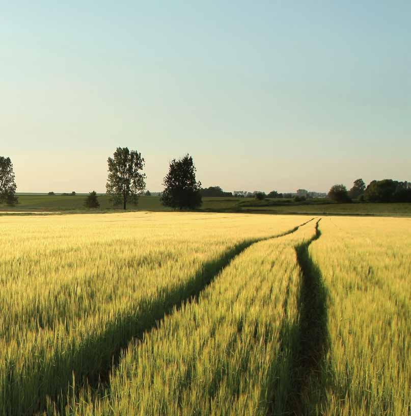 tartalomjegyzék 06 gyomirtó szerek 34 gombaölő szerek 54 NÖVÉNYTÁPLÁLÁS Agrichem Bentazon Ally Max 50 SX Aurora 40 WG Butoxone M-40 Diniro Diniro Gold Express 50 SX Foxtrot EW Glyfos Dakar Granstar