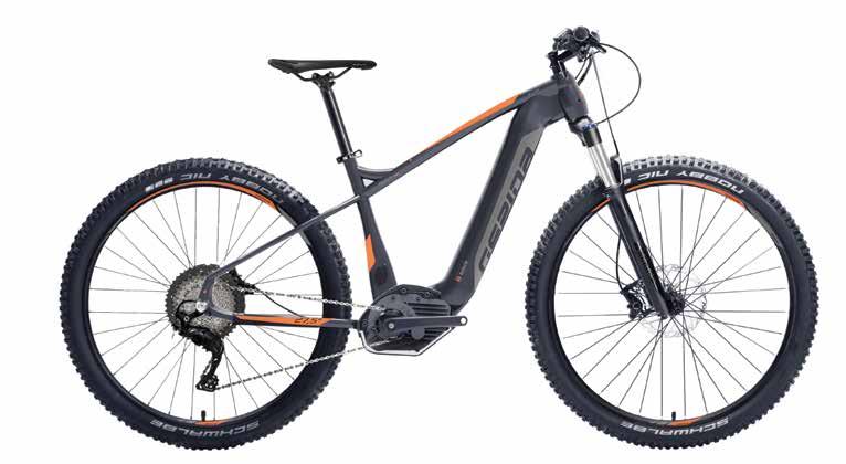 58 59 MTB & ATB E-BIKE RUGA DEORE 10 CX FORTIS DEORE 10 CX MTB & ATB E-BIKE MÉRET 17" 19" 21" SHIMANO DEORE SHADOW+ RD-M6000 10S MÉRET 15" 17" 19" 21" SHIMANO DEORE SHADOW+ RD-M6000 10S SUNTOUR XCR
