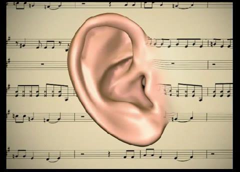 A fül felépítése - fizikus szemmel 1. Külső fül (rezonátor) 1. Összegyűjti és fókuszálja a hangot 2. Védelem 3.