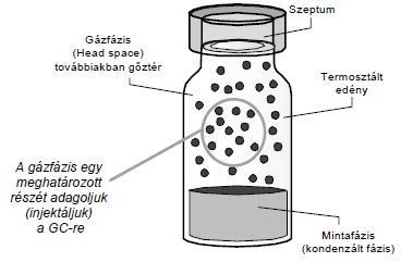 MINTAELŐKÉSZÍTÉS GC-HEZ HS-GC (headspace, gőztéranalízis) - illékony vegyületek mérése o VOC: 293,15K-on (20 C-on) a gőznyomása 0,01 kpa vagy annál nagyobb érték (vagy póriasabban a forráspontja atm.