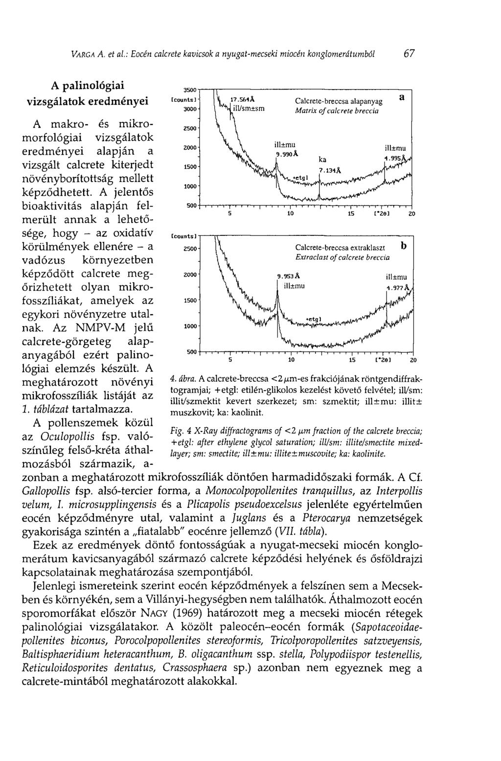 VARGA A.