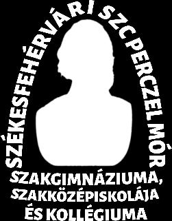 hu Igazgató: Zsipi Gyula Pályaválasztási felelős: Zsipi Gyula Szakgimnázium Tagozatkód 0701 Ágazat Tervezett szakmai kimenet kereskedelem Érettségivel egy időben szerezhető szakmai végzettség: Eladó